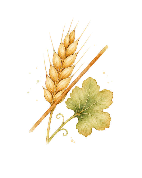 Senza glutine e allergeni