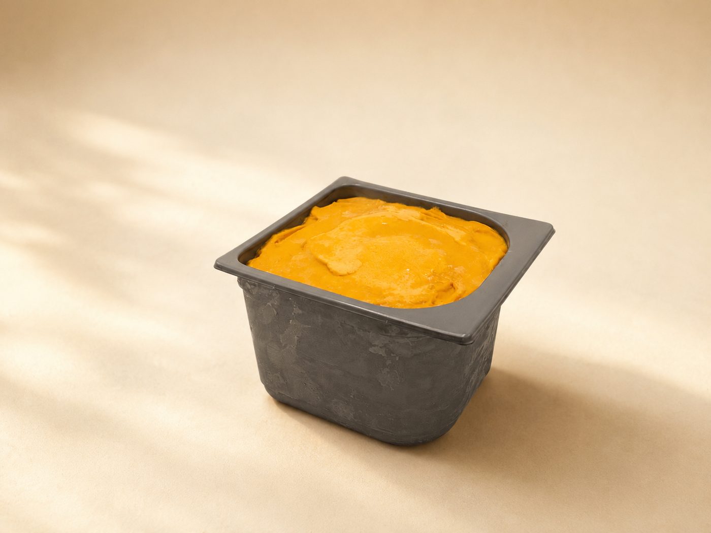 Vaschetta professionale da 2.400 ml di sorbetto di zucca